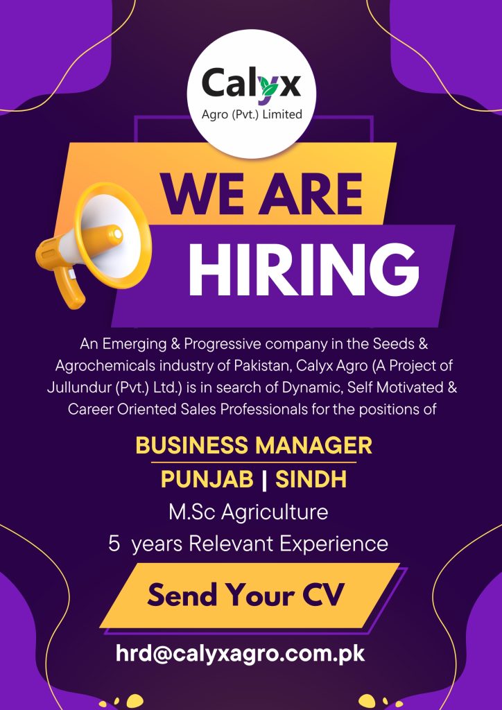 Calyx Hiring of Business Manager Punjab and Sidh